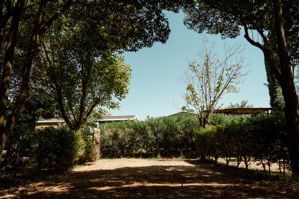 Quand partir en Camargue ? Météo, saisons et conseils