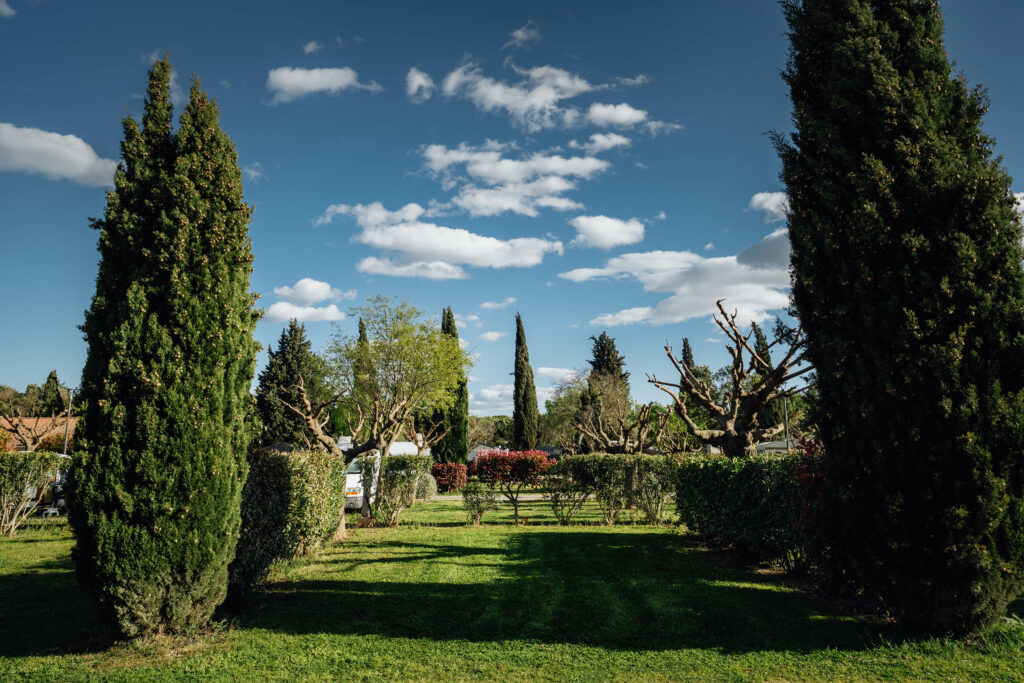 Village et nature de Camargue à visiter autour d'Aimargues, près du Camping Bellevue